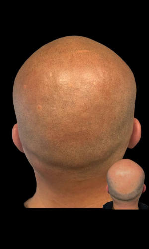 Eerdere werken 2